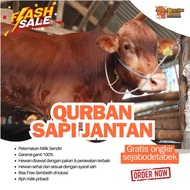 Qurban Sapi Bali Madura, Simental, PO, Limosin | Jabodetabek