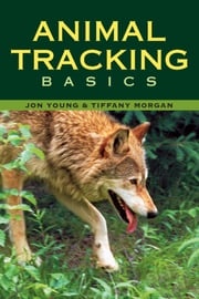 Animal Tracking Basics Tiffany Morgan