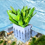 Aquarium Water Plant Stand Fish Tank Hydroponic Planting Basket Planted