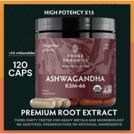 Ashwagandha Tribe Organics, KSM-66 Root Extract Powder anxiety aswaghanda