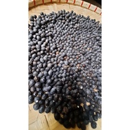 ♞bay leaf seeds/laurel seeds