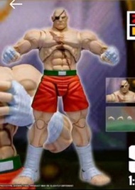 徵 sagat 沙加 街霸 street fighter storm arena 紅