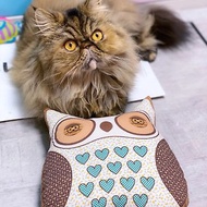 貓頭鷹玩偶擺設品 貓咪的抱枕