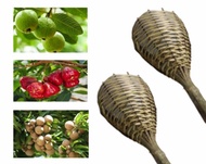 Alat Pemetik Buah Alat Bantu Petik Buah Bahan Bambu Brongsong Bambu