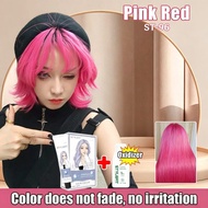 STYLEFIT Hair Color Pink Red Hair Color【100ml Hair Dye+100ml Oxidant】Hair Color Permanent