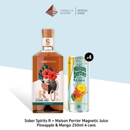 A taste of paradise no passport required (Sober Spirits mixed with Maison Perrier)