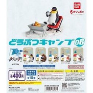 現貨  日本 BANDAI 動物野外露營篇P6 企鵝 南極篇 轉蛋  露天市集  全台最大的網路購物市集