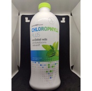 Synergy - CHLOROPHYLL PLUS | คลอโรฟิลล์ พลัส สูตรเข้มข้น แท้ส่งไว