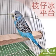 缺《寵物鳥世界》台灣製 枝仔冰平台│鸚鵡雀科小型中小型鳥 原木休息休憩遊戲跳板 鳥籠配件 安排籠內動線 AP023