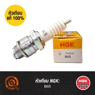 Genuine Spark Plug NGK-B6S | For Sprayers