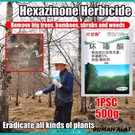 Rumput Racun Tabur 500g Root Rot Killer  Hexazinone Herbicide Menghapuskan Akar Pokok / Bulu / Racun