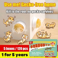 Lizard killer ubat cicak racun cicak lizard trap ubat cicak ubat cicak paling berkesan 壁虎药