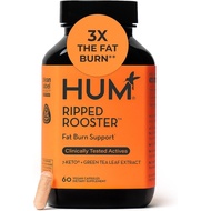 HUM Ripped Rooster Natural Green Tea Extract Capsules with Chromium, 7 Keto DHEA, Gluten Free Vegan 
