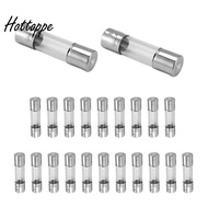 20 x 250 V 2A F2AL Quick F link Glass tube fuse 5 mm x 20 mm