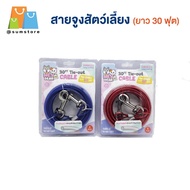 Dog Leash Length 30 Feet