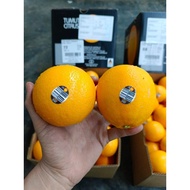 🌟Fresh New Arrival🌟 🇦🇺Australia🇦🇺 Grove Tumut Citrus Orange 3107 *L Size* (3pcs)