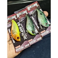 AVP VIB. Behind The Fish Color