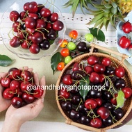 Cherry cherry cherry cherry artificial fake cherry cherry cherry cherry cherry artificial artificial