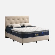 VHIVE 11.5” Hotel Choice Pocket Spring Mattress