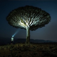 德國Ledlenser HF6R Signature 充電式數位調焦專業頭燈