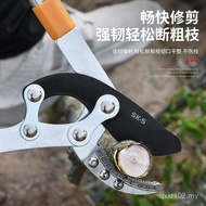 Pruning Branch Shears Fruit Tree Pruning Branch Strong Shears High Branch Shears Garden Thick Branch