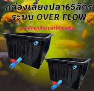 อ่างเลี้ยงปลา 65 ลิตร overflow 64x44x31ซ. พร้อมระบบวาวล์เปิดปิดน้ำ กะบะเลี้ยงปลา อ่างเลี้ยงปลา อ่างเ