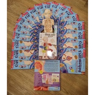 Human Body Model+Human Book