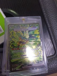 寵物小精靈卡 厄鬼椪 碧草面具 EX SAR