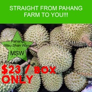 STRAIGHT FROM FARM  🙊Pahang Raub MSW MSK Black Gold Old tree 🙊 Mau Shan Wang Musang King Durian