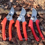 Pruning Shears Gardening Shears Gardening Pruning Shears Gardening Tools Shears Flower Shears Spring