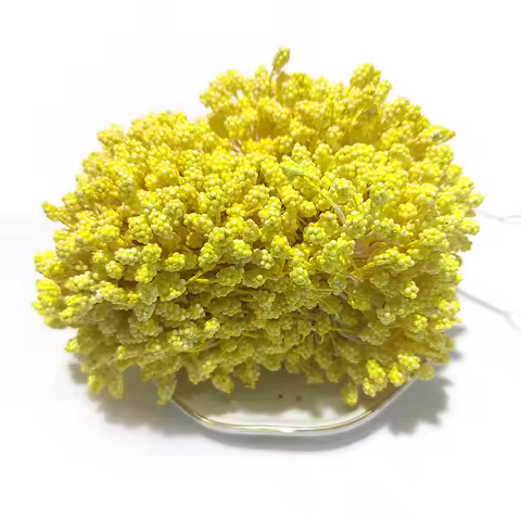 800pcs 5mm/0.19inch Artificial Flowers Stamen Happy Birthday Party Decoration Wedding Decoration Flo