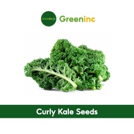 Curly Kale Seeds (羽衣甘蓝) Vegetable Seeds from SG