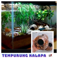 Tempurung kelapa /tanpa salet / Hiasan Aquarium /Sarang  Sugar Glider/ Ikan Channa/ Limbata ready stok