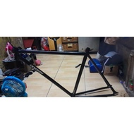 Fixie bike frame