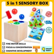 5 in 1 Sensory Montessori Toys Wooden Educational Toys for Kids for 2 years old sensory toys fine mo