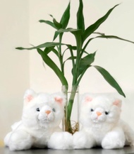 Boneka Kucing Anggora putih