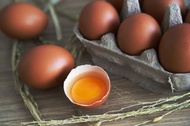 Telur Ayam Organik Omega 3,6,9