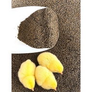 GOLD COIN 201C DEDAK AYAM HALUS BERQUALITY