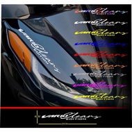 Cutting sticker vario clean gen 2