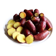 【築地一番鮮】養身輕食紫皮栗香黃金地瓜8包(約1kg/包)