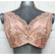 40D/90D BOSHI PLUS SIZE BRA - WIRED