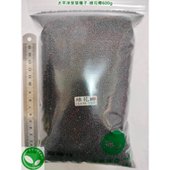 綠花椰種子(青花菜種子/西蘭花種子)-義大利進口-可水耕/土耕-嚴選85%以上高發芽率-芽菜種子/芽苗菜種子/生菜種子/綠拿鐵種子/三日苗種子/蔬菜種子