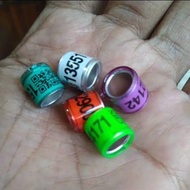 10 Ring Burung Merpati dara Import