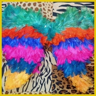 § ✟ ☋ IBONG ADARNA WINGS KID SIZE