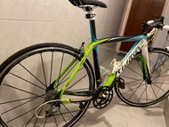 wilier 46 TON