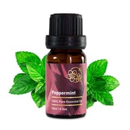 Amour 精油 - Peppermint Essential Oil - 黑胡椒薄荷 10ml - 100% Pure
