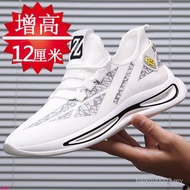 Summer Breathable Sports Inner Heightening Men's Shoes 8cm Men's Heightening Shoes Mesh 12cm6cm10cm 