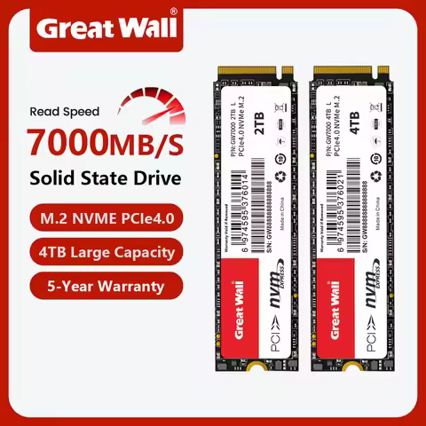 Great Wall Internal Solid State Drive M.2 2280 PCIe 4.0 NVMe SSD Game Drive Works for PS5 Hard Disk 