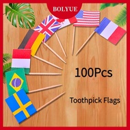 100Pcs Toothpick flag Flags of the World Restaurant Party Decoration Countries flags National Day De