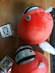 賣日本純種馬黃金船 達摩 黃金船